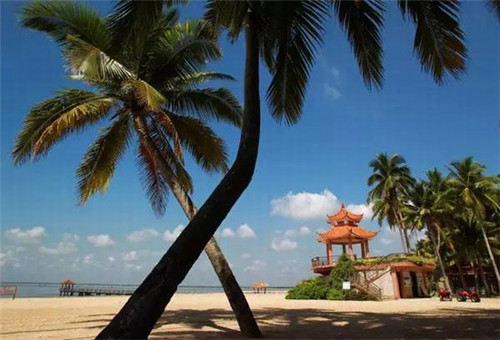 魅惑大咖海鲜焖面