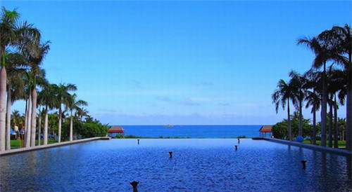 萌鸡特工石锅泡泡鸡