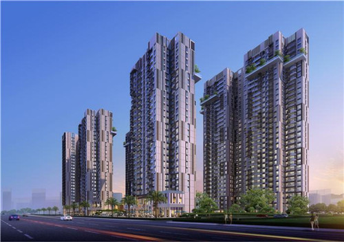 玫瑰公主炒酸奶