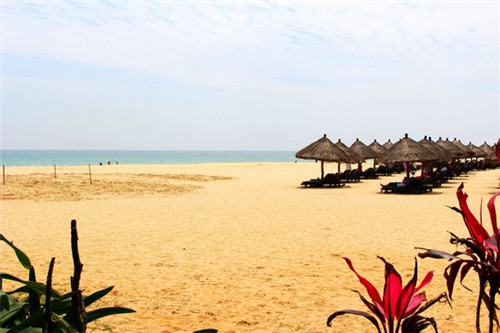 糖乐乐加盟费多少