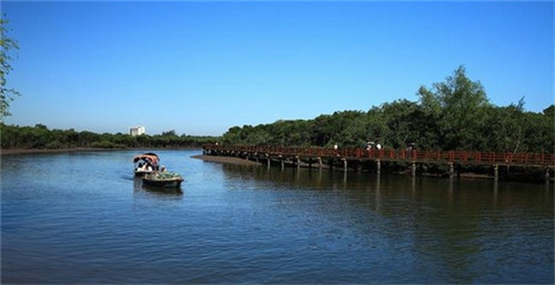 晋安砂浆代理加盟费多少，福州砂浆厂家