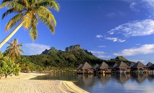 奶茶加盟前景好不好，加盟茶不易奶茶正常几年回本