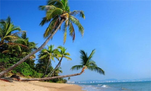 加盟春熙巷冷锅串串可以赚钱吗