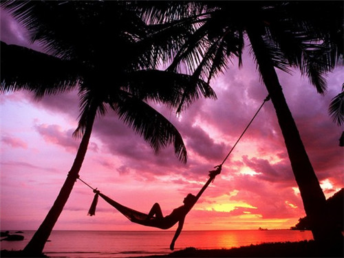 哪个奶茶店的奶茶好喝又不贵，哪家奶茶店必喝奶茶