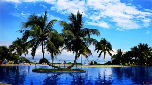 加盟一个光头佬饺子价格是多少