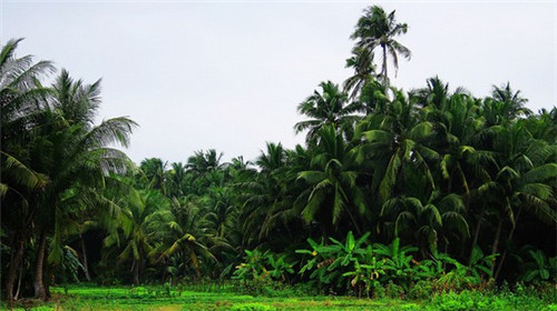 加盟乌托邦阿拉丁值得吗，乌托邦阿拉丁值得加盟吗