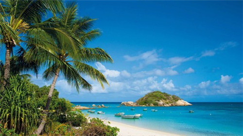 采蝶轩蛋糕加盟适合新手干吗