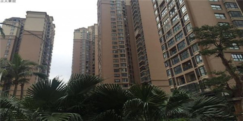 快手快币怎么查看（快手快币怎么查看明细记录）